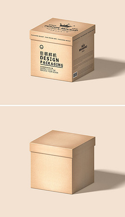 2022年最新紙板產(chǎn)品展示樣機素材 創(chuàng)意、實用與設計靈感的完美融合